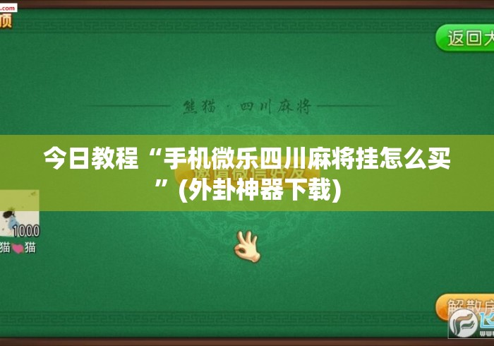 今日教程“手机微乐四川麻将挂怎么买”(外卦神器下载)
