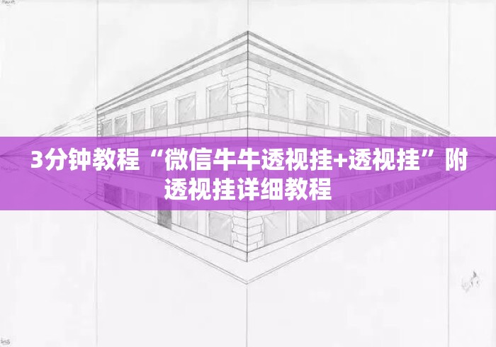 3分钟教程“微信牛牛透视挂+透视挂”附透视挂详细教程