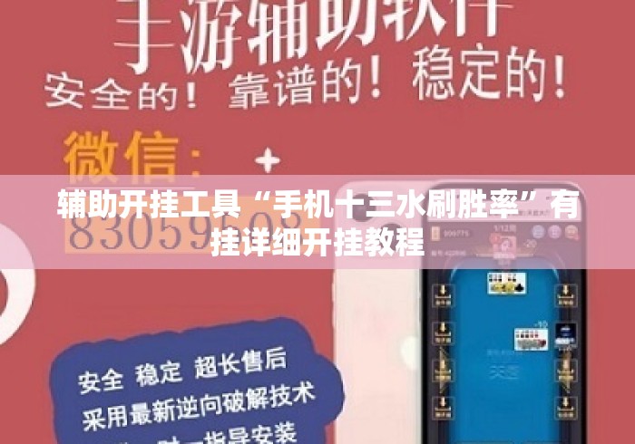 辅助开挂工具“手机十三水刷胜率”有挂详细开挂教程