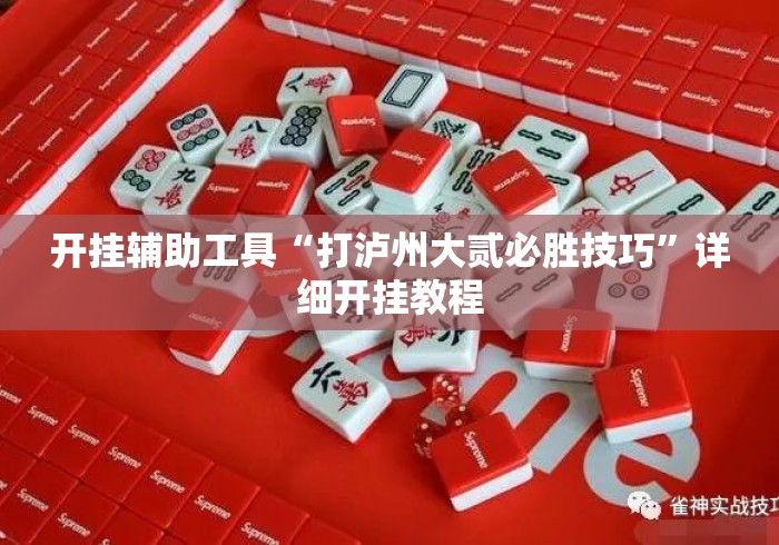 开挂辅助工具“打泸州大贰必胜技巧”详细开挂教程