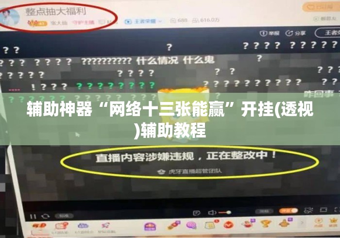 辅助神器“网络十三张能赢”开挂(透视)辅助教程