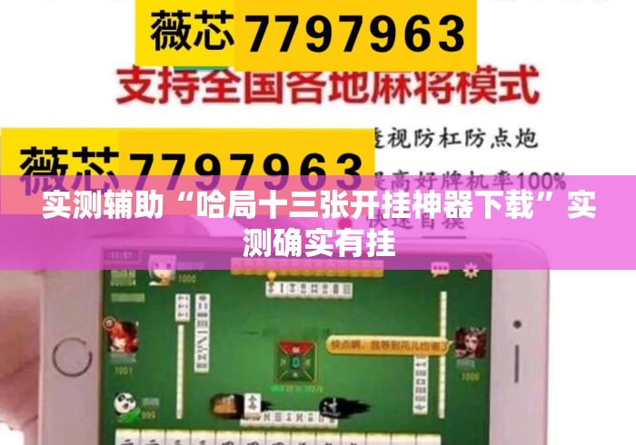 实测辅助“哈局十三张开挂神器下载”实测确实有挂
