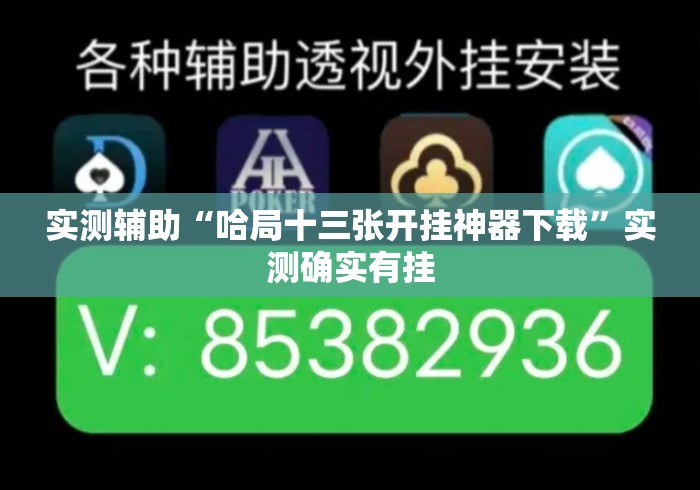 实测辅助“哈局十三张开挂神器下载	”实测确实有挂