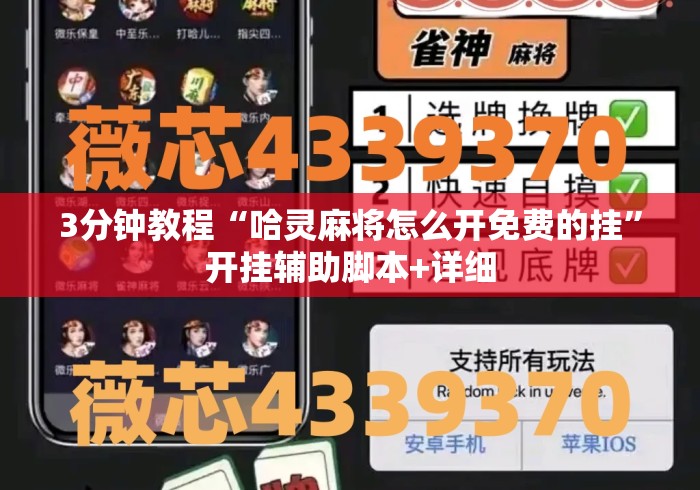 3分钟教程“哈灵麻将怎么开免费的挂”开挂辅助脚本+详细