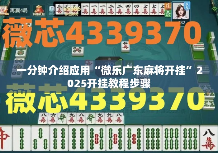 一分钟介绍应用“微乐广东麻将开挂”2025开挂教程步骤