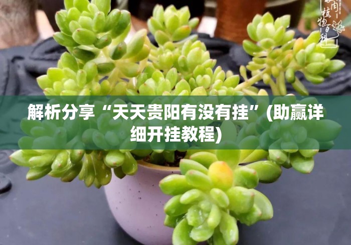 解析分享“天天贵阳有没有挂	”(助赢详细开挂教程)