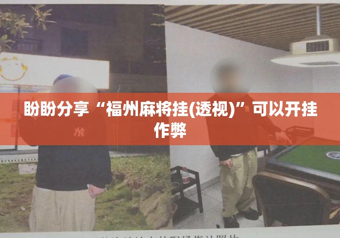 盼盼分享“福州麻将挂(透视)”可以开挂作弊
