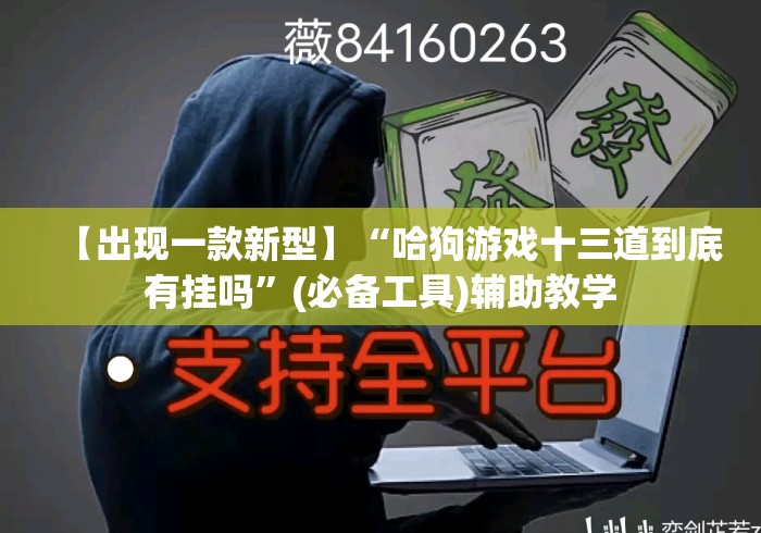 【出现一款新型】“哈狗游戏十三道到底有挂吗”(必备工具)辅助教学