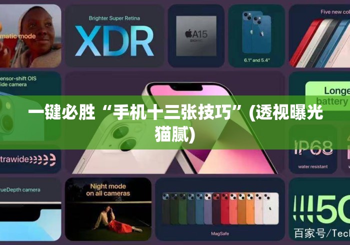 一键必胜“手机十三张技巧”(透视曝光猫腻)
