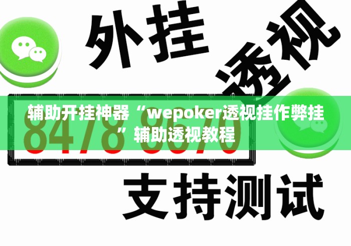 辅助开挂神器“wepoker透视挂作弊挂”辅助透视教程