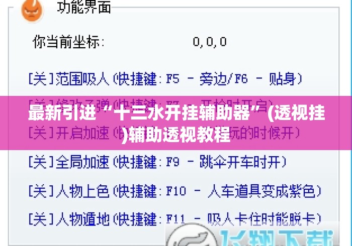 最新引进“十三水开挂辅助器”(透视挂)辅助透视教程