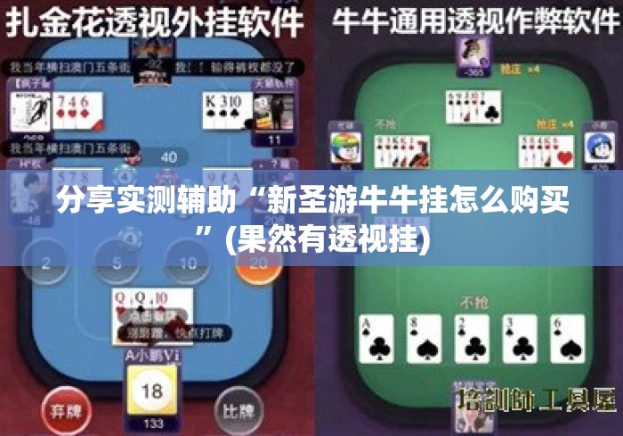分享实测辅助“新圣游牛牛挂怎么购买”(果然有透视挂)
