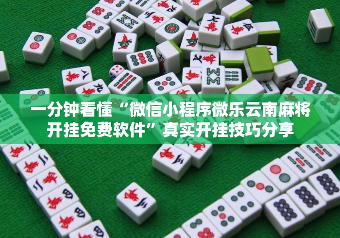 一分钟看懂“微信小程序微乐云南麻将开挂免费软件”真实开挂技巧分享