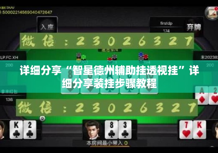 详细分享“智星德州辅助挂透视挂	”详细分享装挂步骤教程