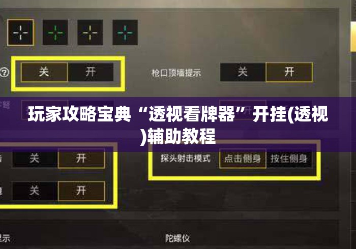 玩家攻略宝典“透视看牌器”开挂(透视)辅助教程