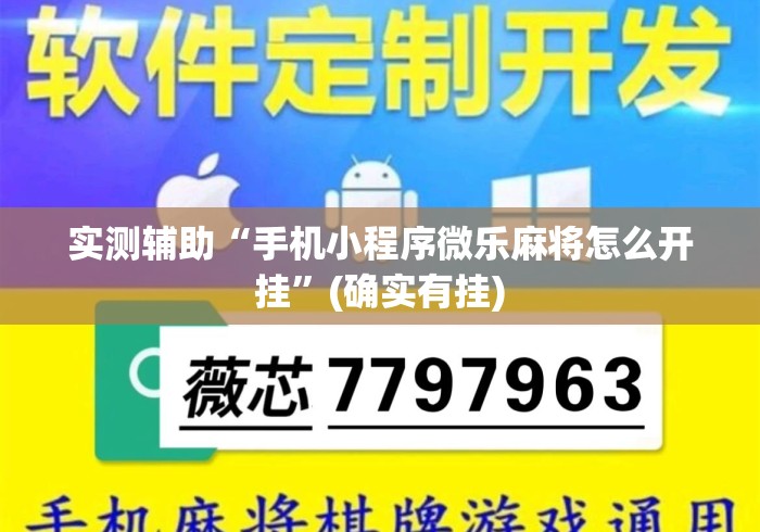 实测辅助“手机小程序微乐麻将怎么开挂	”(确实有挂)