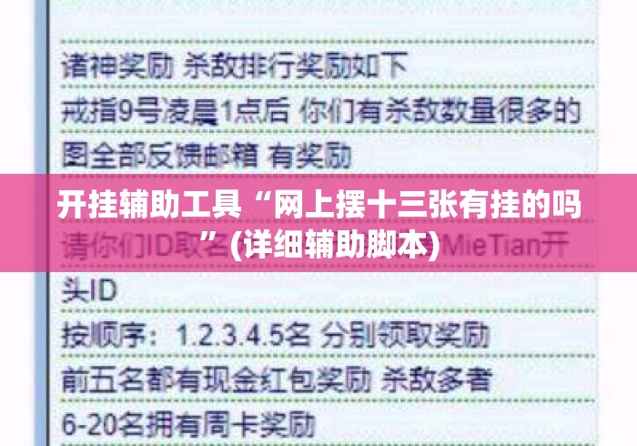 开挂辅助工具“网上摆十三张有挂的吗”(详细辅助脚本)