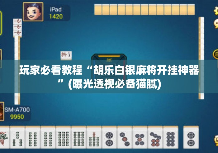 玩家必看教程“胡乐白银麻将开挂神器”(曝光透视必备猫腻)
