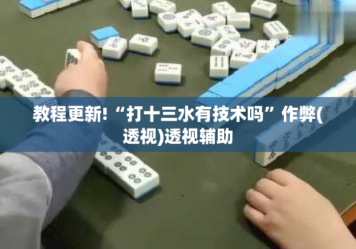 教程更新!“打十三水有技术吗”作弊(透视)透视辅助