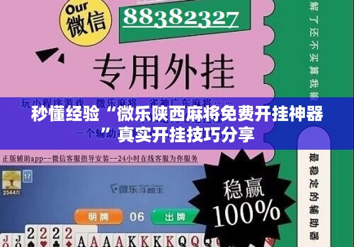 秒懂经验“微乐陕西麻将免费开挂神器”真实开挂技巧分享