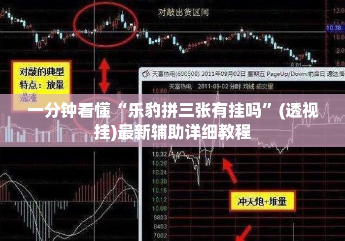 一分钟看懂“乐豹拼三张有挂吗”(透视挂)最新辅助详细教程