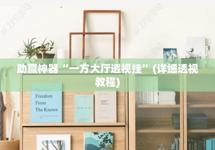 助赢神器“一方大厅透视挂”(详细透视教程)