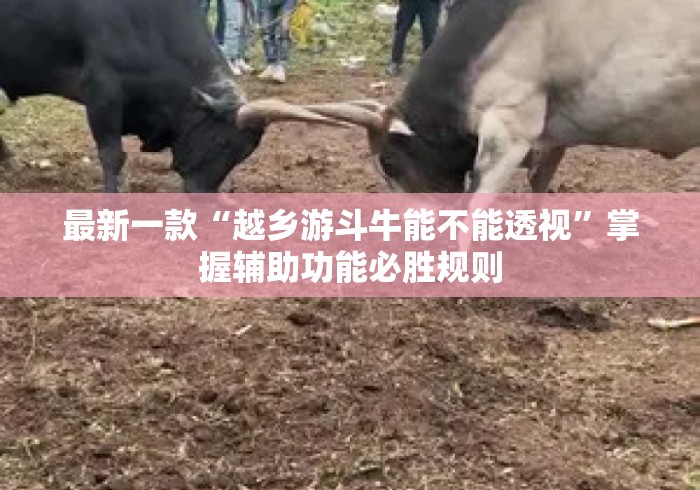 最新一款“越乡游斗牛能不能透视”掌握辅助功能必胜规则