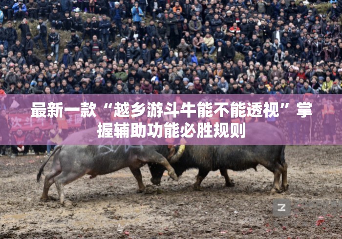 最新一款“越乡游斗牛能不能透视”掌握辅助功能必胜规则