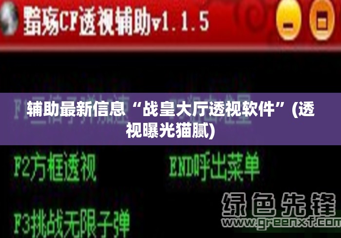 辅助最新信息“战皇大厅透视软件	”(透视曝光猫腻)