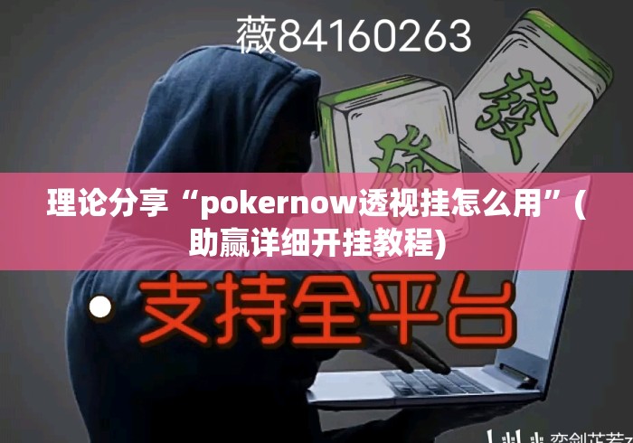 理论分享“pokernow透视挂怎么用”(助赢详细开挂教程)