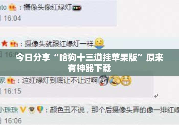 今日分享“哈狗十三道挂苹果版”原来有神器下载
