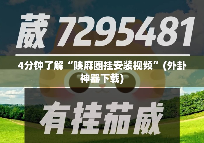 4分钟了解“陕麻圈挂安装视频”(外卦神器下载)