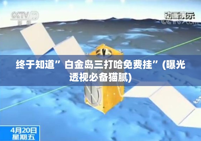 终于知道”白金岛三打哈免费挂	”(曝光透视必备猫腻)