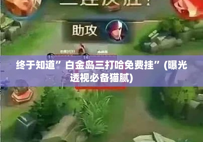 终于知道	”白金岛三打哈免费挂”(曝光透视必备猫腻)