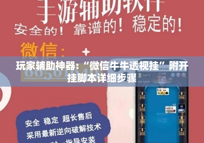 玩家辅助神器:“微信牛牛透视挂”附开挂脚本详细步骤
