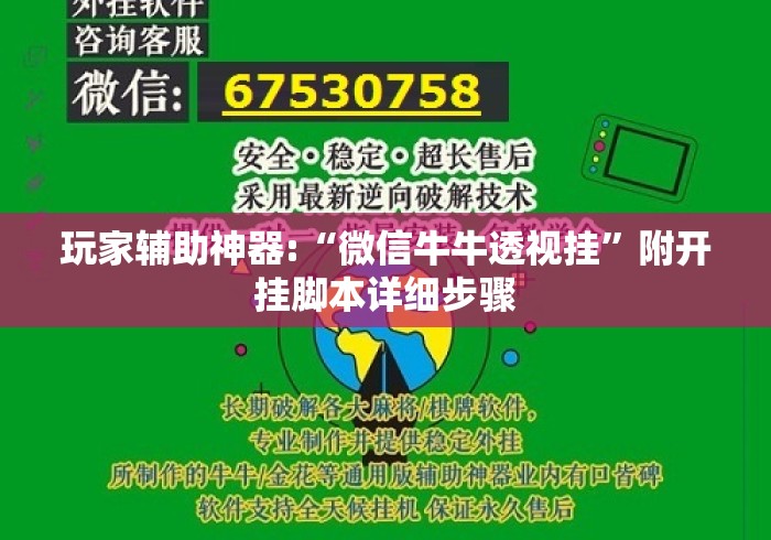 玩家辅助神器:“微信牛牛透视挂	”附开挂脚本详细步骤
