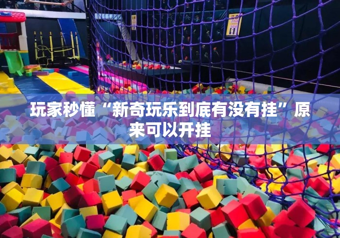 玩家秒懂“新奇玩乐到底有没有挂”原来可以开挂