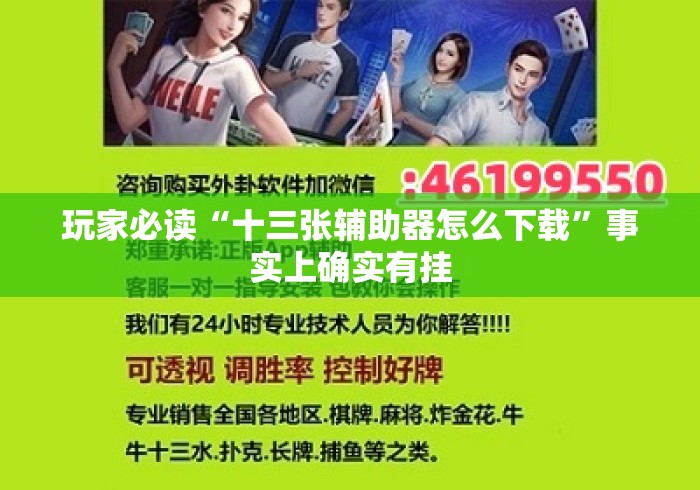 玩家必读“十三张辅助器怎么下载”事实上确实有挂