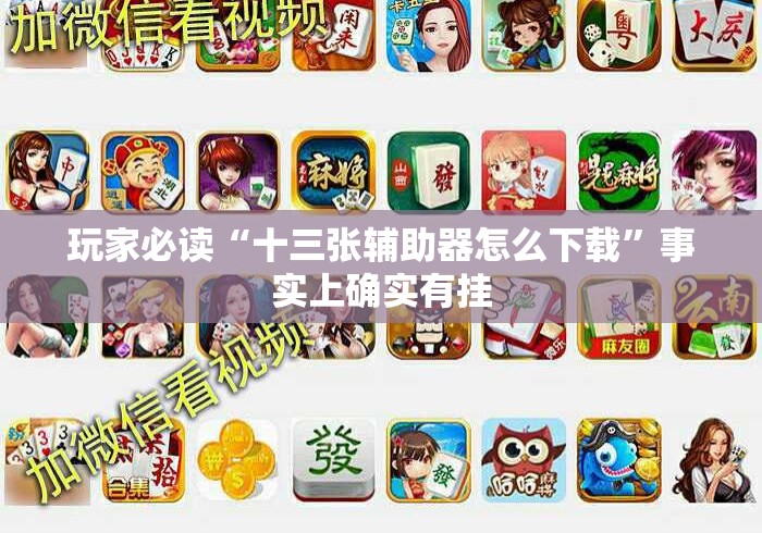 玩家必读“十三张辅助器怎么下载”事实上确实有挂