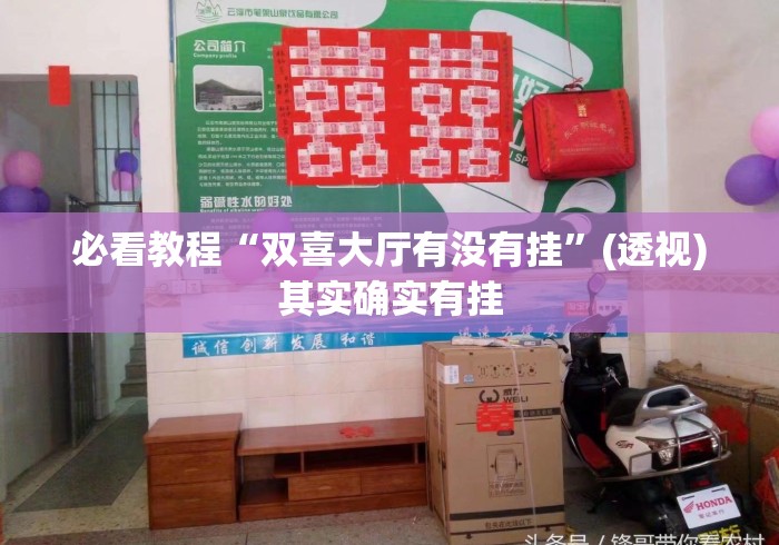 必看教程“双喜大厅有没有挂”(透视)其实确实有挂
