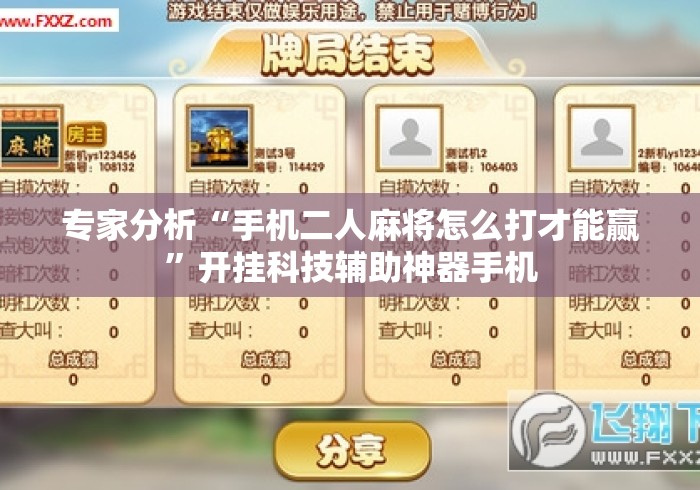 专家分析“手机二人麻将怎么打才能赢”开挂科技辅助神器手机