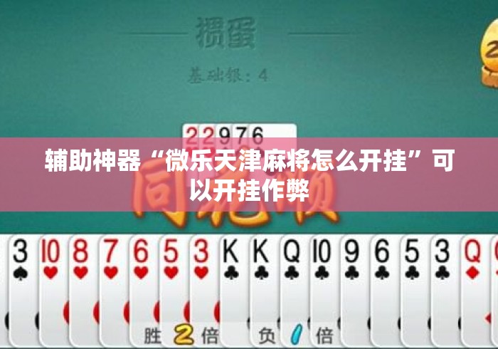 辅助神器“微乐天津麻将怎么开挂”可以开挂作弊