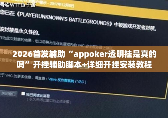 2026首发辅助“appoker透明挂是真的吗”开挂辅助脚本+详细开挂安装教程