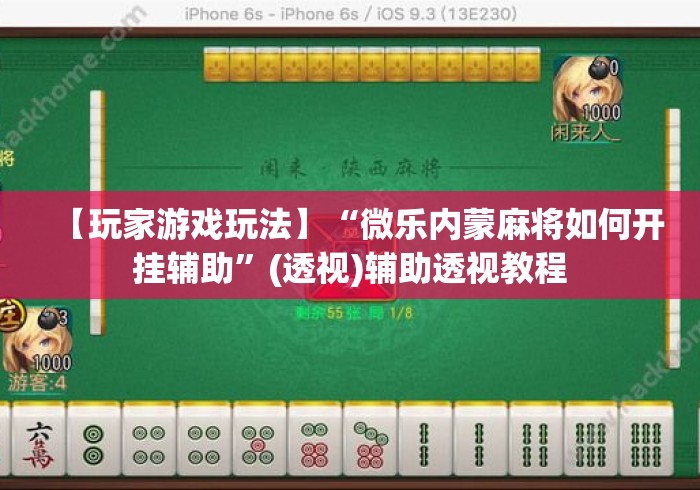 【玩家游戏玩法】“微乐内蒙麻将如何开挂辅助”(透视)辅助透视教程