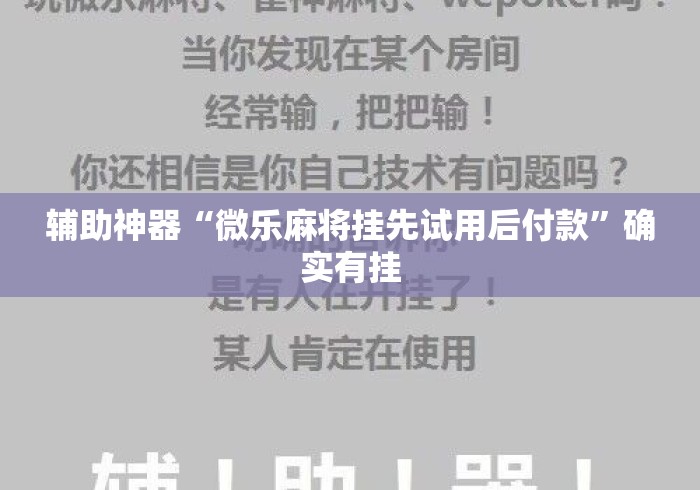 辅助神器“微乐麻将挂先试用后付款	”确实有挂