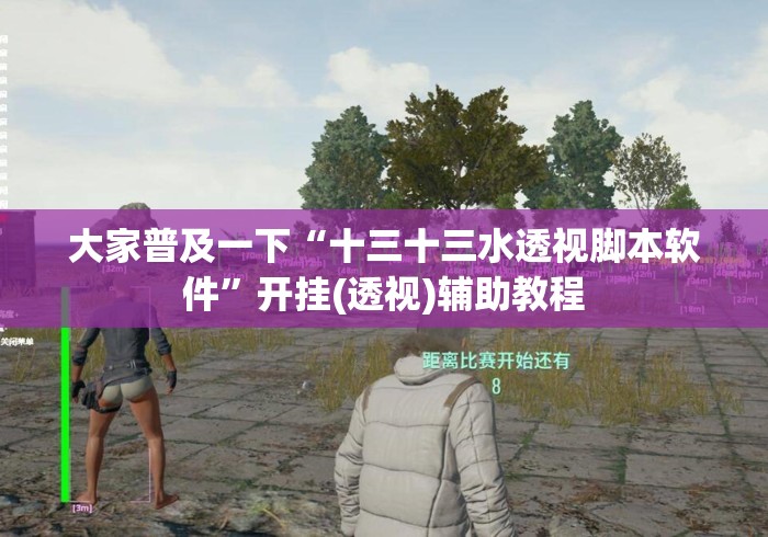 大家普及一下“十三十三水透视脚本软件”开挂(透视)辅助教程