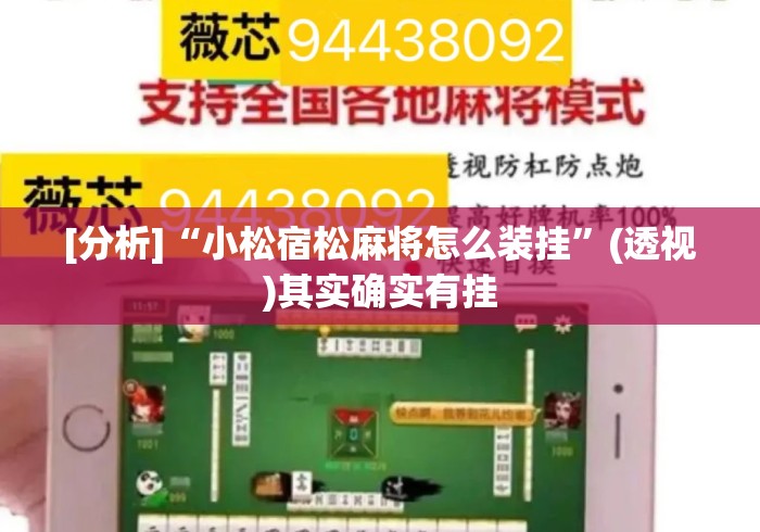 [分析]“小松宿松麻将怎么装挂”(透视)其实确实有挂