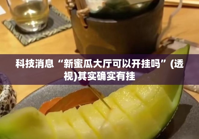 科技消息“新蜜瓜大厅可以开挂吗”(透视)其实确实有挂