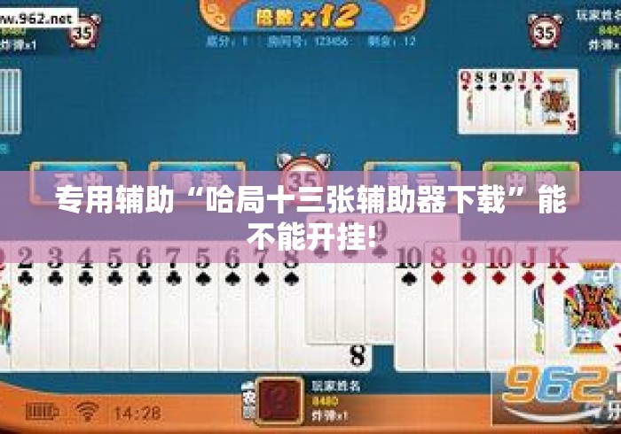 专用辅助“哈局十三张辅助器下载”能不能开挂!