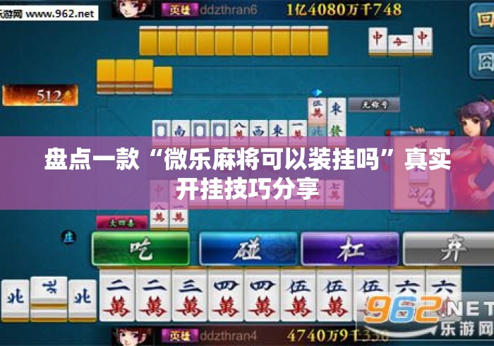 盘点一款“微乐麻将可以装挂吗”真实开挂技巧分享